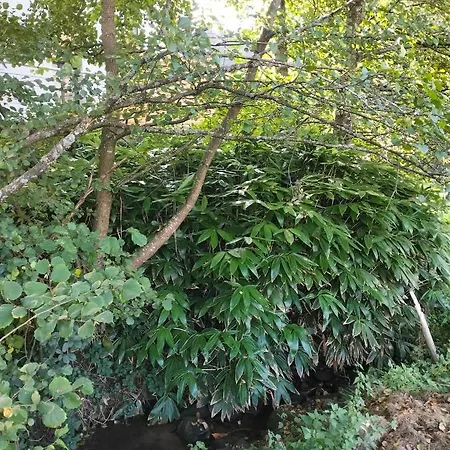 Au Fil De L'eau *